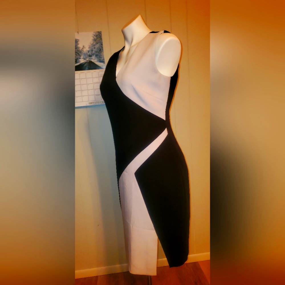 Black and white Calvin Klein Dress